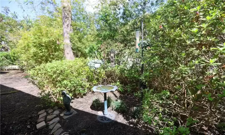 View of side yard