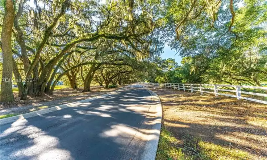 Bluffton, South Carolina 29910, ,Land,For Sale,442889