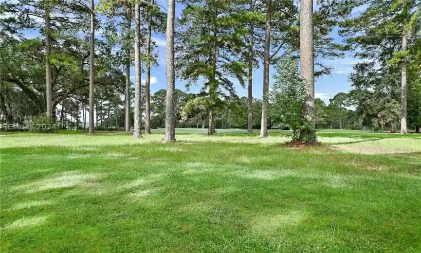 Bluffton, South Carolina 29909, ,Land,For Sale,443699