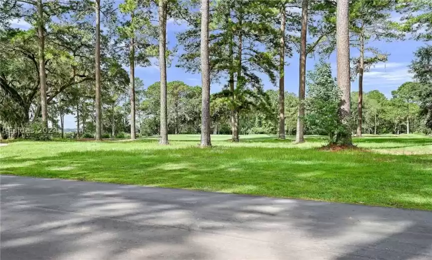 Bluffton, South Carolina 29909, ,Land,For Sale,443699