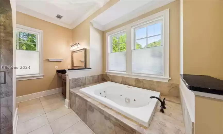 Master bath with jetted tub