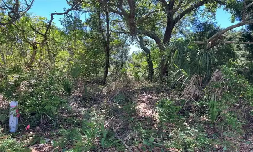 Saint Helena Island, South Carolina 29920, ,Land,For Sale,443701