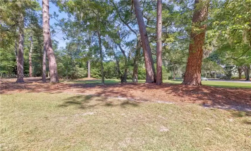 Hilton Head Island, South Carolina 29926, ,Land,For Sale,438958