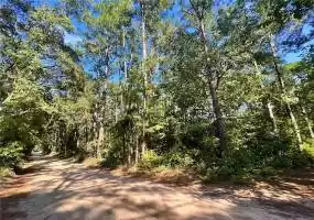 Daufuskie Island, South Carolina 29915, ,Land,For Sale,438718