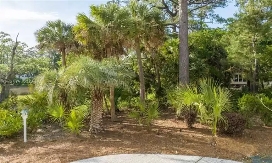 Saint Helena Island, South Carolina 29920, 3 Bedrooms Bedrooms, ,3 BathroomsBathrooms,Residential,For Sale,443442