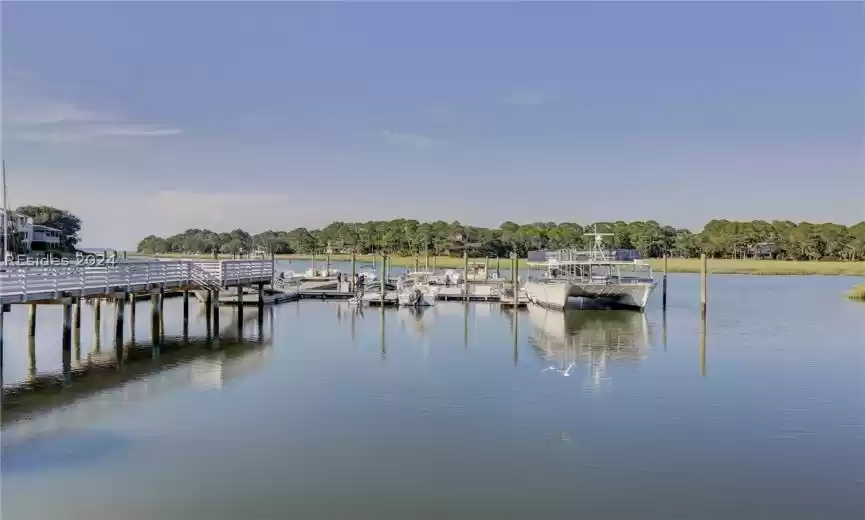 Hilton Head Island, South Carolina 29928, 1 Bedroom Bedrooms, ,1 BathroomBathrooms,Residential,For Sale,443234