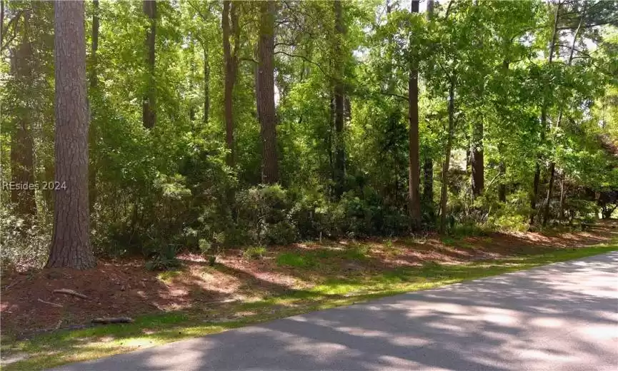 Okatie, South Carolina 29909, ,Land,For Sale,443551