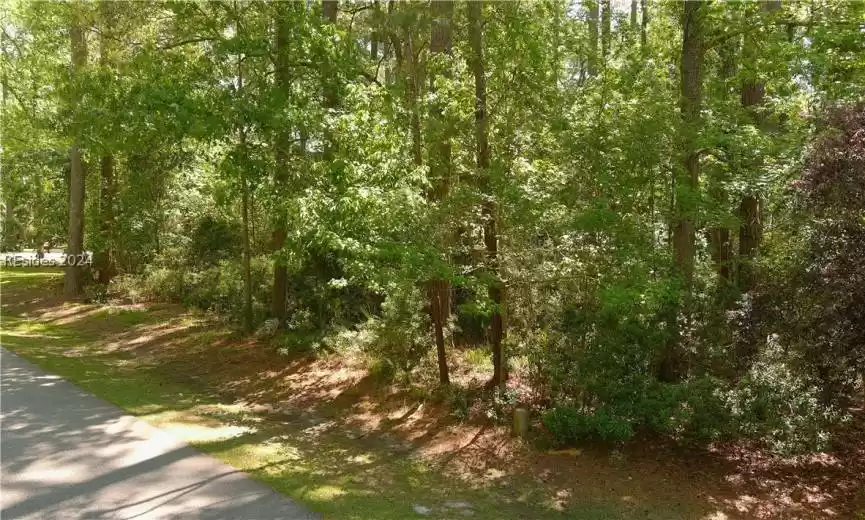 Okatie, South Carolina 29909, ,Land,For Sale,443551