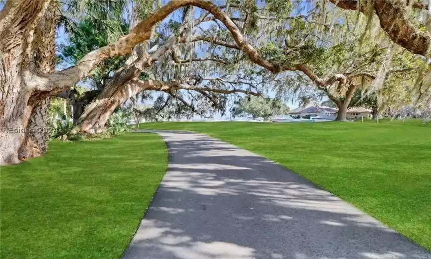 Surrounding community featuring a yard