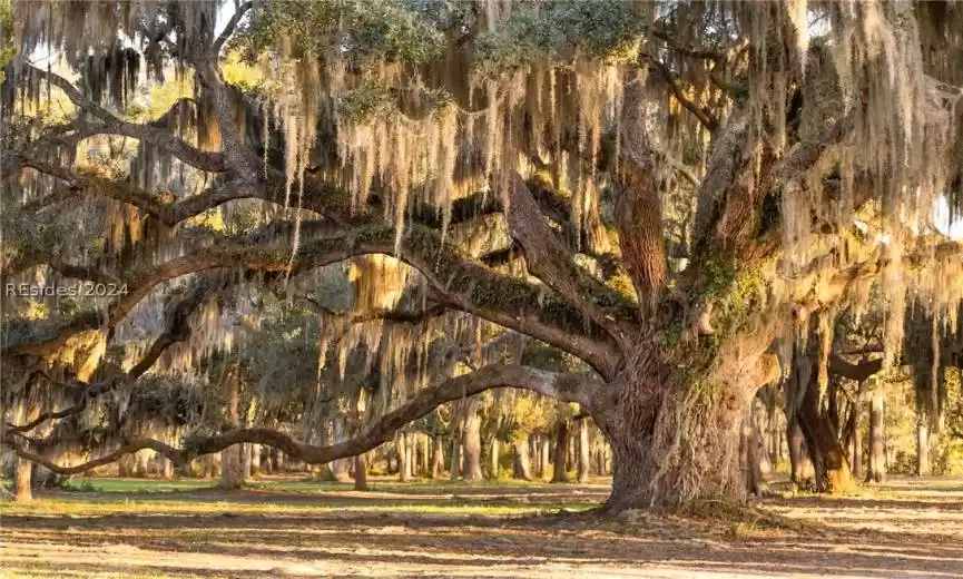 Beaufort, South Carolina 29907, 3 Bedrooms Bedrooms, ,3 BathroomsBathrooms,Residential,For Sale,443928