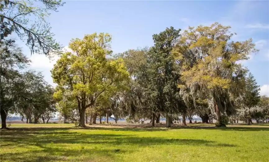 Beaufort, South Carolina 29907, 3 Bedrooms Bedrooms, ,3 BathroomsBathrooms,Residential,For Sale,443928