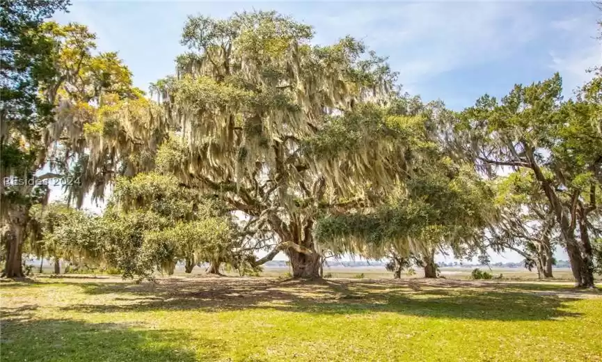 Beaufort, South Carolina 29907, 3 Bedrooms Bedrooms, ,3 BathroomsBathrooms,Residential,For Sale,443928