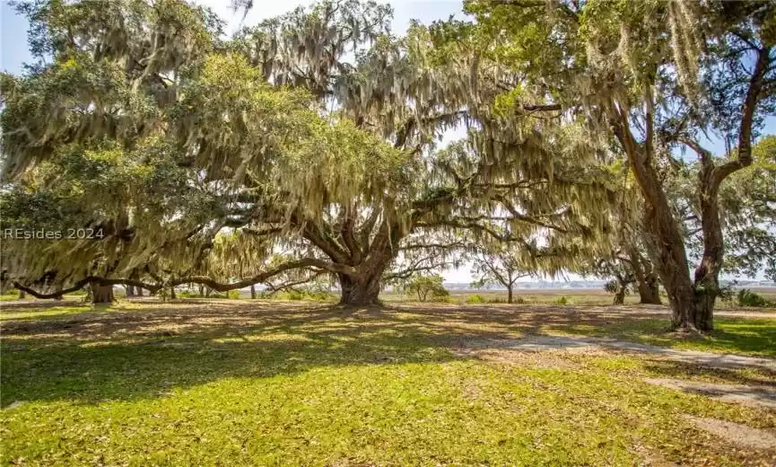 Beaufort, South Carolina 29907, 3 Bedrooms Bedrooms, ,3 BathroomsBathrooms,Residential,For Sale,443928